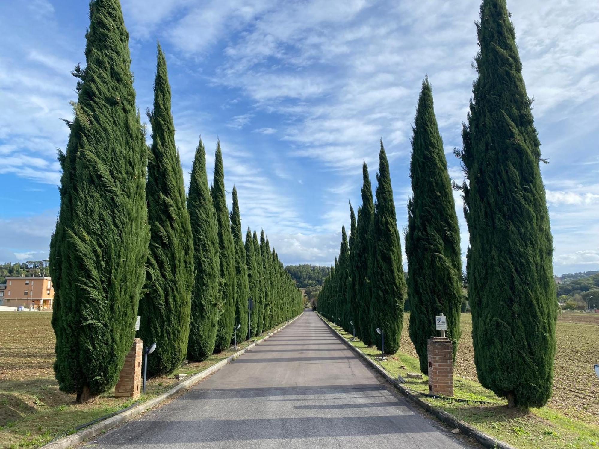 La Locanda Dei Golosi